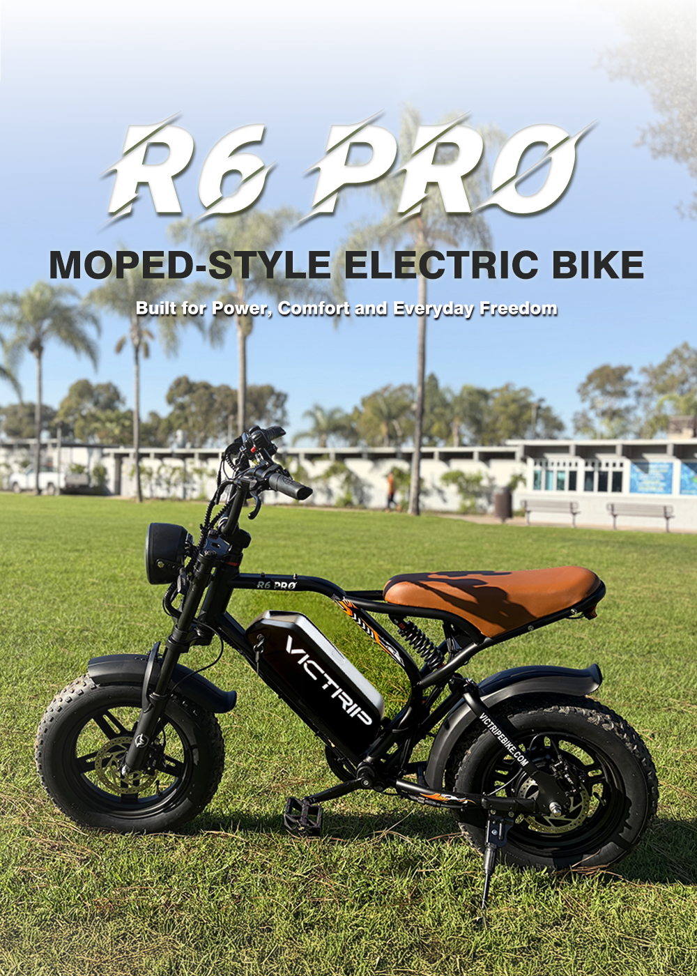 Ebike Fat Tire​ | VICTRIP