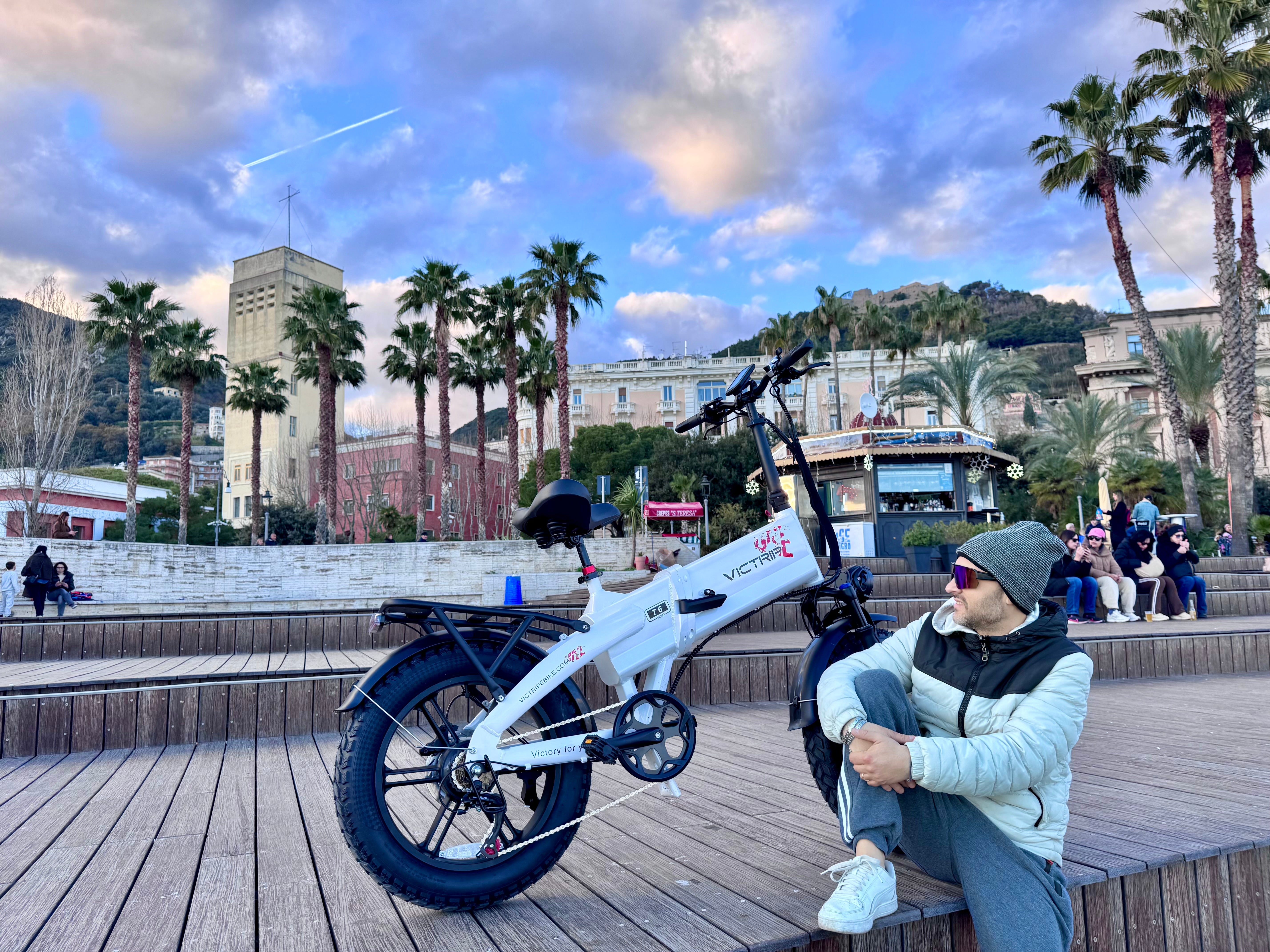 Electric Bicycles Fat Tire​​ | VICTRIP