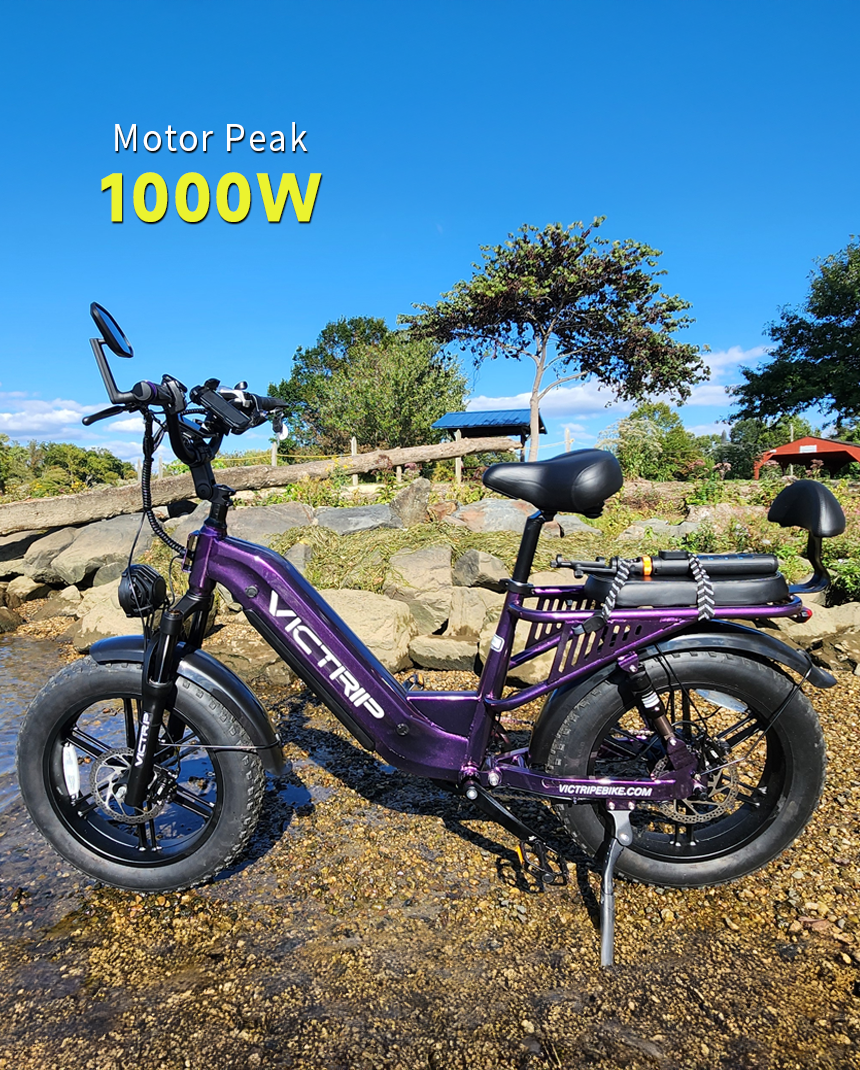 Cycle For Heavy Person​ | VICTRIP