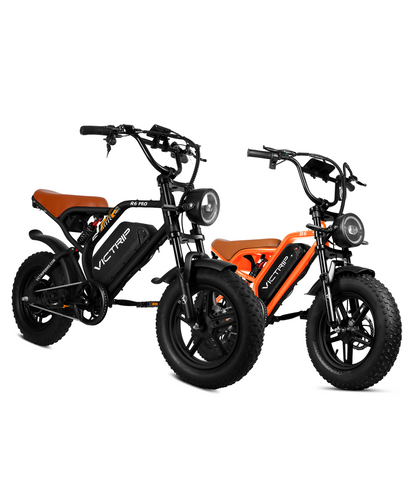 1500W Electric Bike Moped​ | VICTRIP