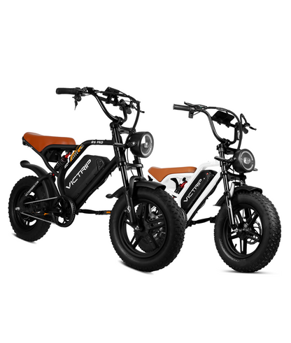 Electric Moped Bike 48V​ | VICTRIP