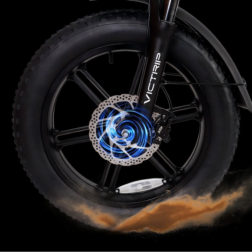 20 X 4.0 Fat Tire Ebike | VICTRIP