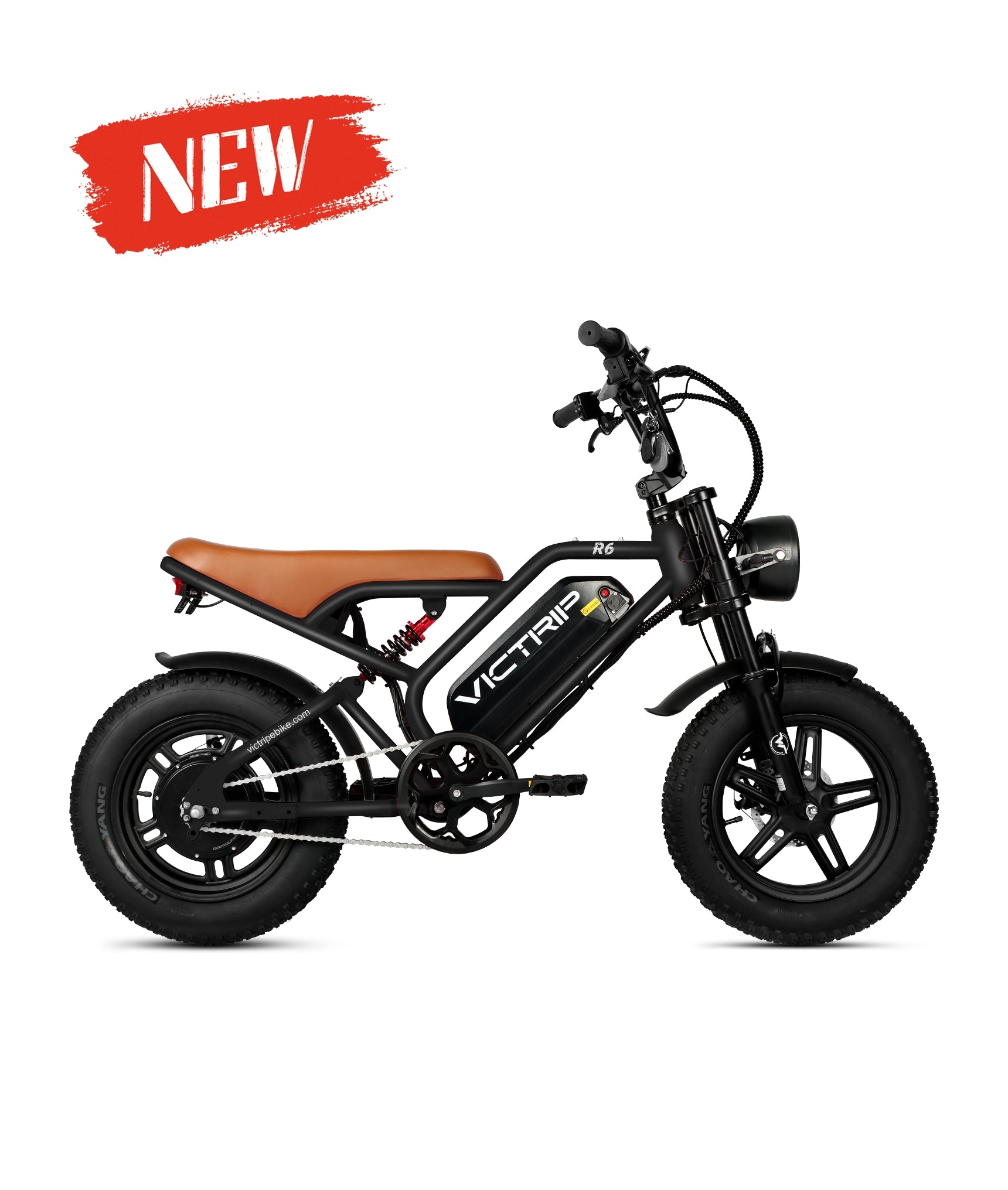 VICTRIP ®R6 Off-road Ebike