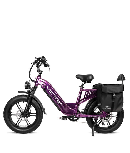 All Terrain Electric Bicycle​ | VICTRIP