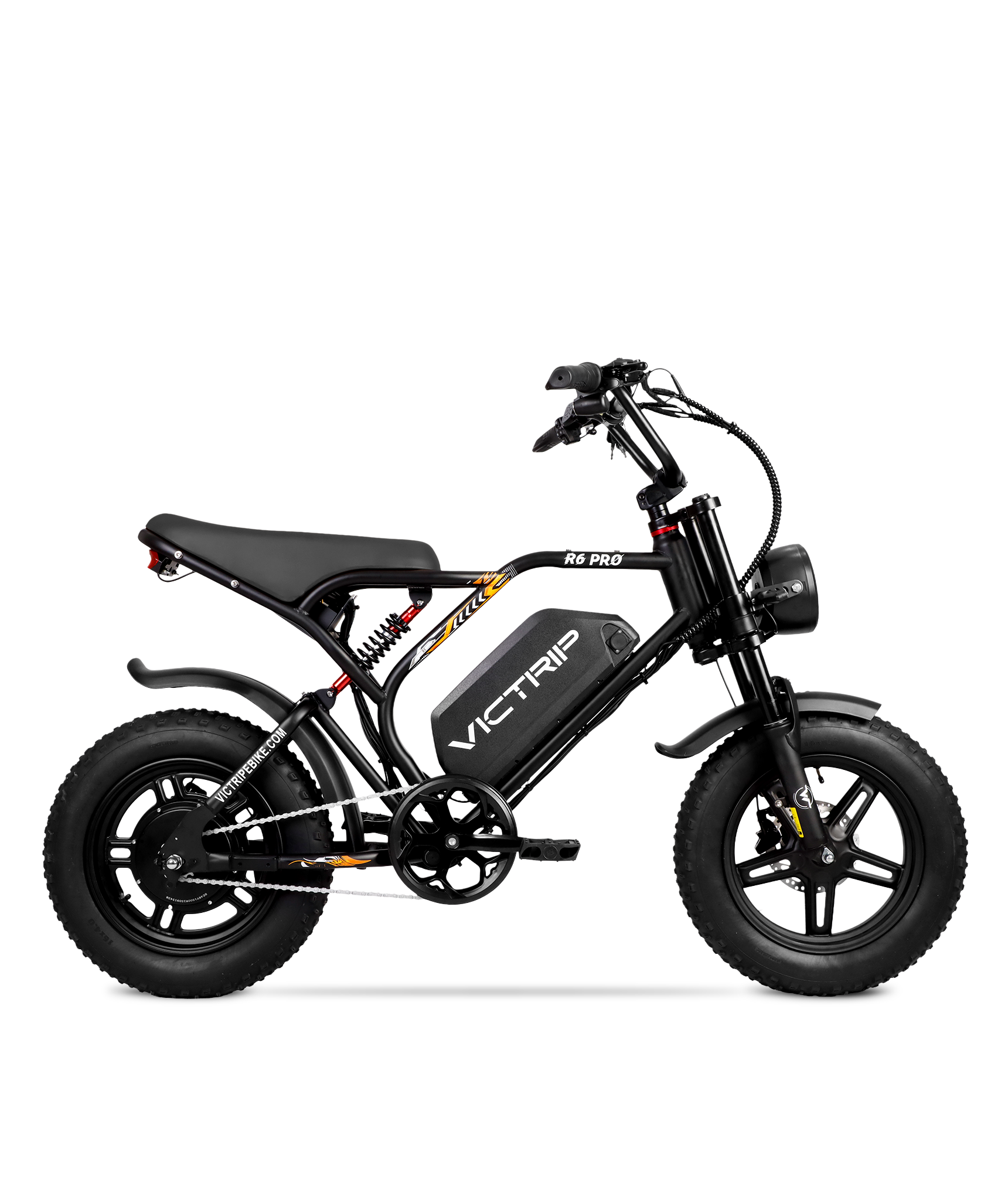 VICTRIP®R6 Off Road Ebike