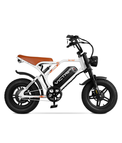 VICTRIP ®R6 Electric Off-Road Bike