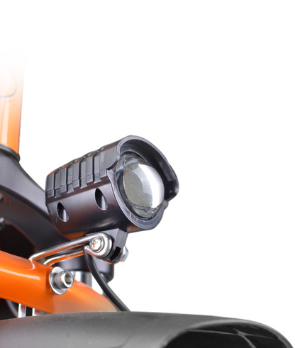 VICTRIP® Combo Sale N12 Ebike
