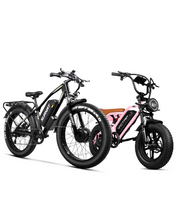 VICTRIP® Ebike Combo Sale N12