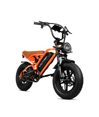 VICTRIP ®R6 Off-road Ebike