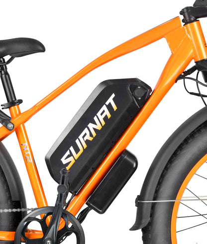 VICTRIP® Combo Sale N12 Ebike