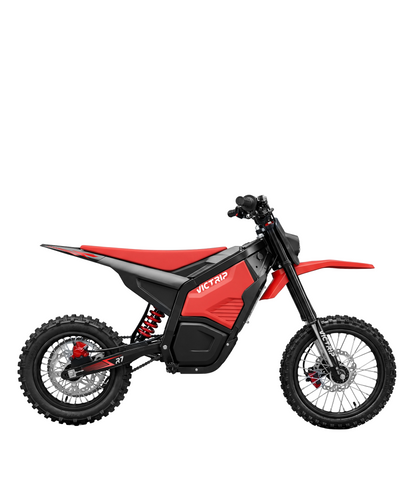 40 Mph Electric Bike For Sale​ | VICTRIP