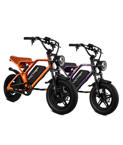 VICTRIP®Ebike Combo Sale R6Pro*2