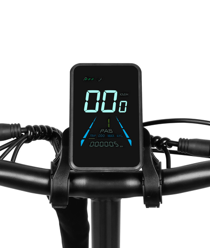 VICTRIP® T5S Foldable Ebike
