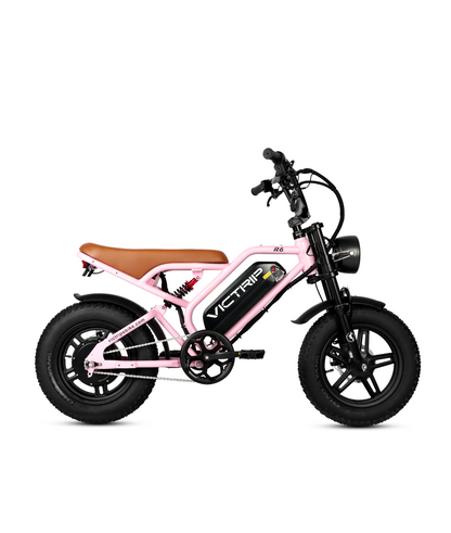 VICTRIP ®R6 Off-road Ebike