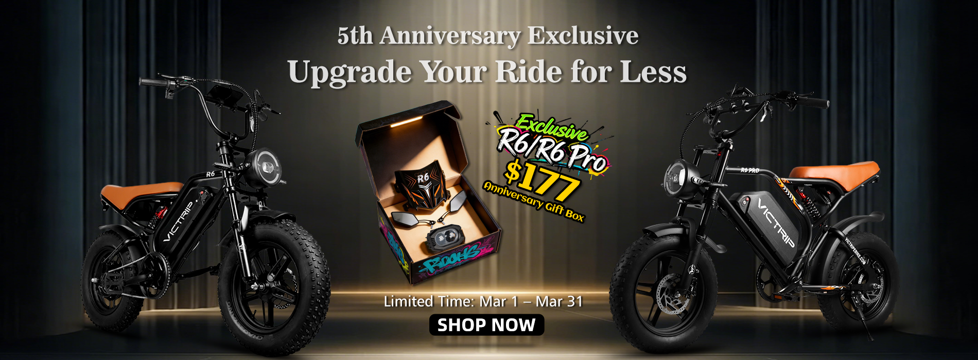 Cheap Electric Bikes​ | VICTRIP