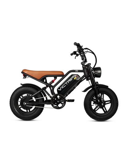 VICTRIP ®R6 Off-road Ebike-BLACK