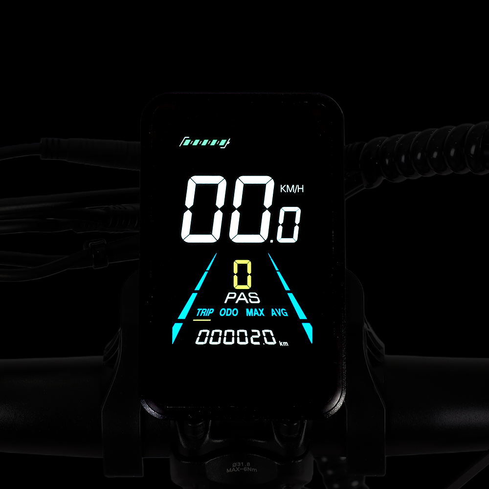 Electric Bike Display | VICTRIP