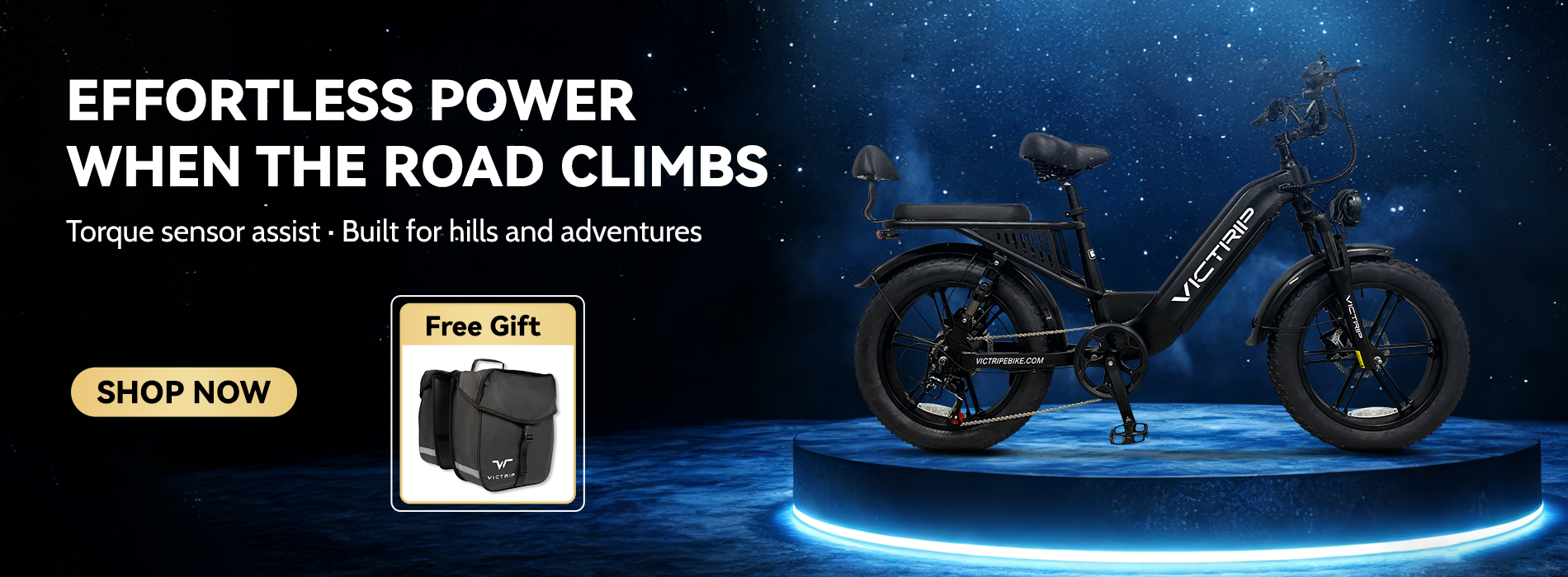 20 Inch Full Suspension Ebike | VICTRIP