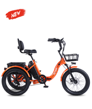 VICTRIP® T1 Foldable Electric Tricycle