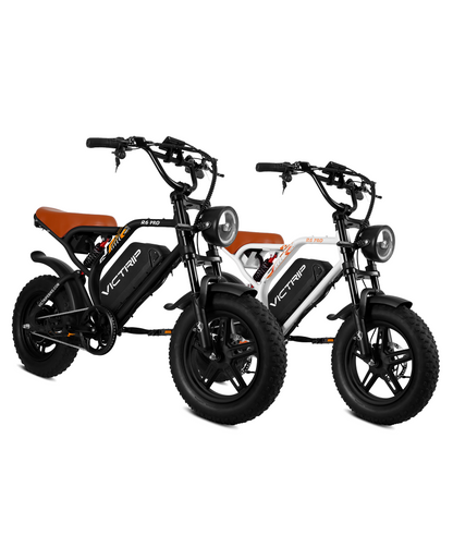 VICTRIP®Ebike Combo Sale R6Pro*2
