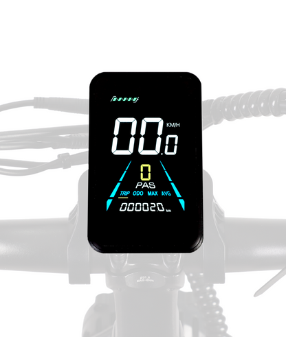 Electric Bicycle Display | VICTRIP