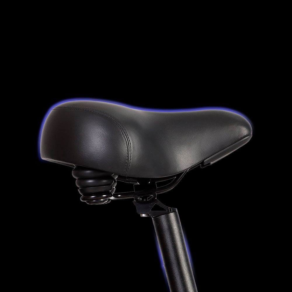 Electric Bike Seats | VICTRIP