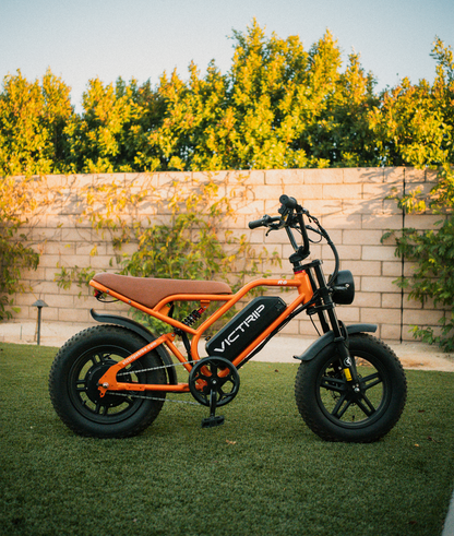 Electric Bike For 10 Year Old​​ | VICTRIP