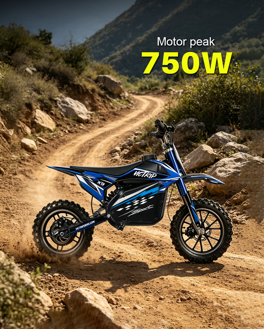 Youth Dirt Bikes 750W | VICTRIP