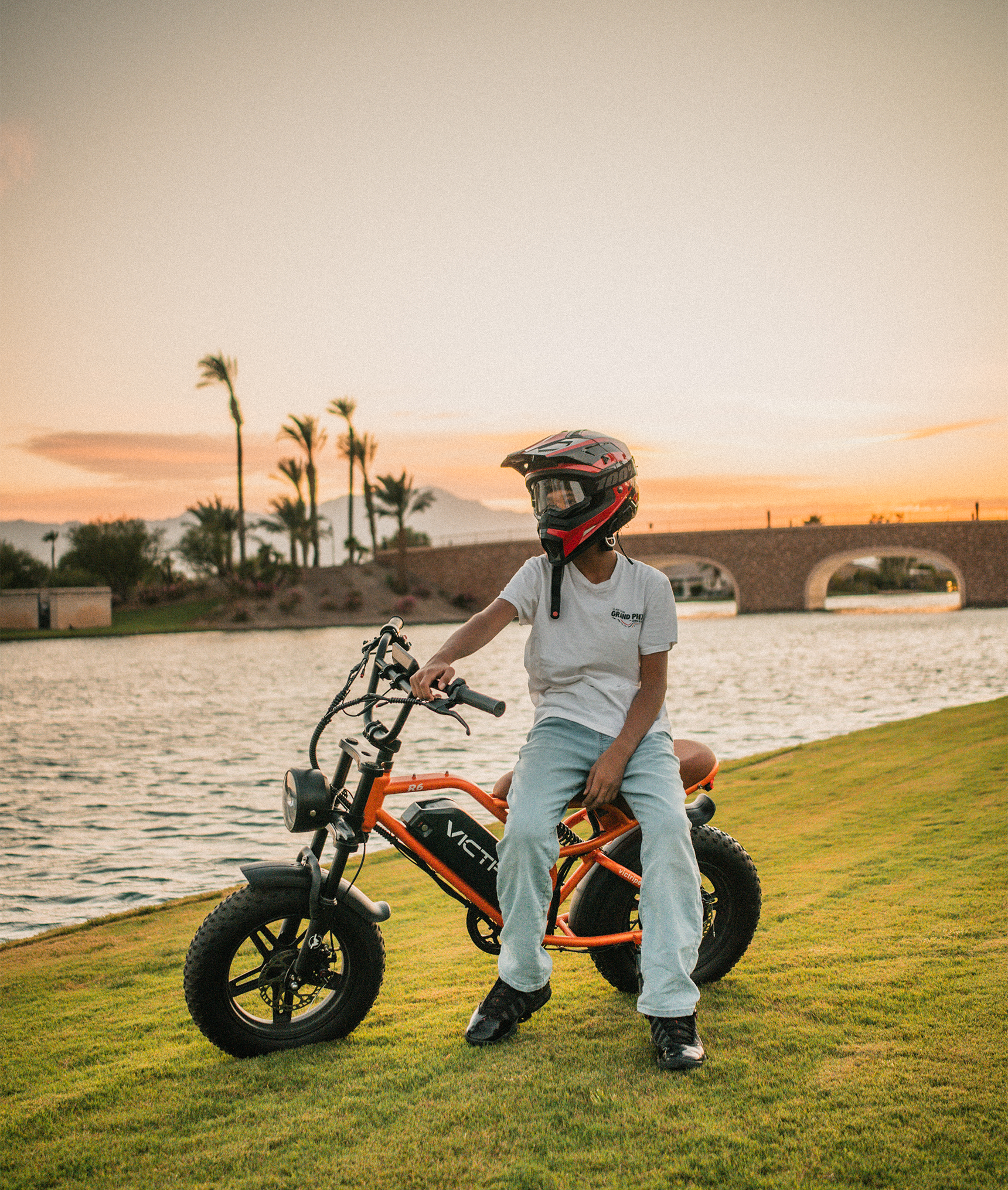 VICTRIP®R6 Off Road Ebike