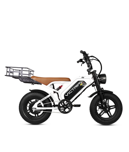 Cargo Electric Bike Affordable​ | VICTRIP