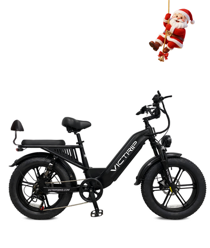 20 Inch ​​Fat Tire Electric Bike​ | VICTRIP