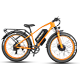 Best Dual Motor Ebike | VICTRIP