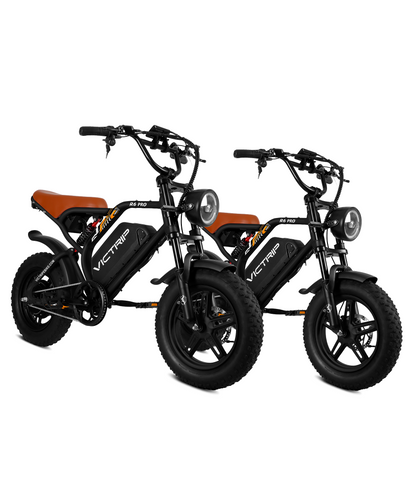 VICTRIP®Ebike Combo Sale R6Pro*2