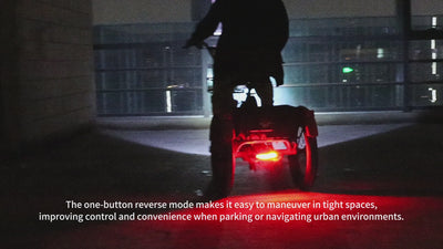 t1-everse-riding-mode-electric-tricycles​ 
