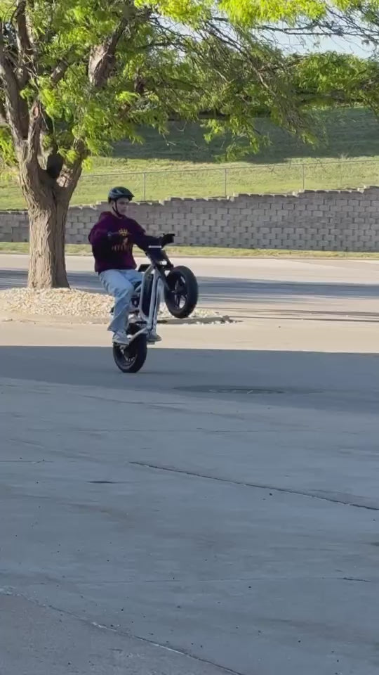 Instagram Video