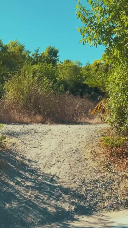 VICTRIP®R6 Off Road Ebike