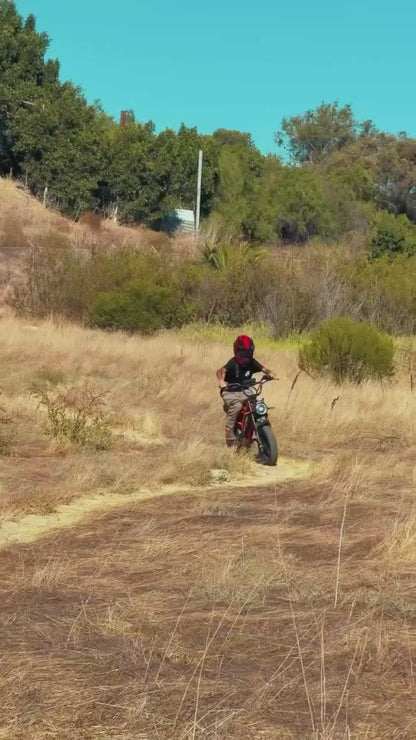 VICTRIP®R6 Off Road Ebike