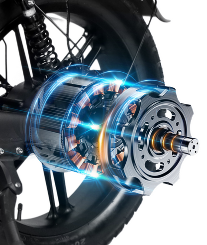 Folding Electric Bike 250W | VICTRIP