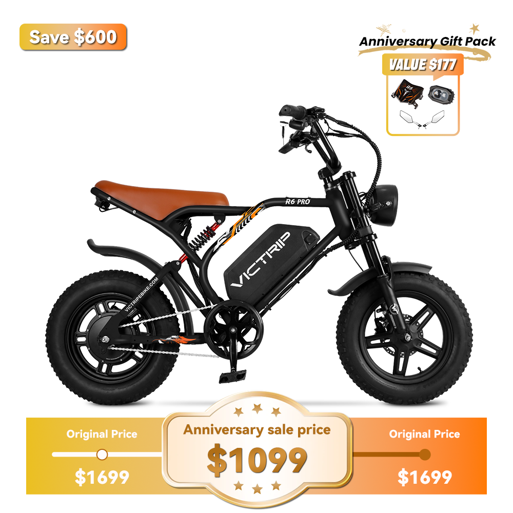 1500Ｗ Cheap Electric Moped | VICTRIP