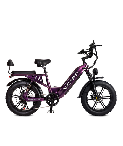 E Bikes With Pedal Assist​ | VICTRIP