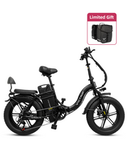 VICTRIP® TITAN S 1000W Long Range Ebike