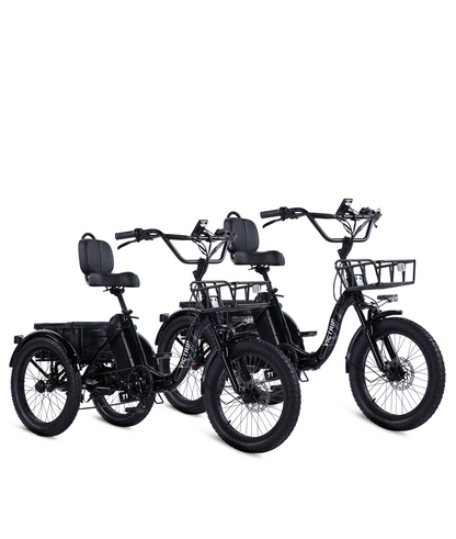 Three Wheel Electric Bike​ | VICTRIP