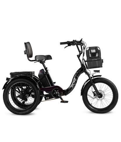 3 Wheel Electric Bike With Bag​​​ | VICTRIP